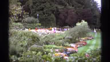 Vancouver Canada (1974): Her Beautiful Flower Garden Is Priceless