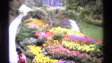 Vancouver Canada (1974): Colorful Spring Garden Proudly Promotes Blooming