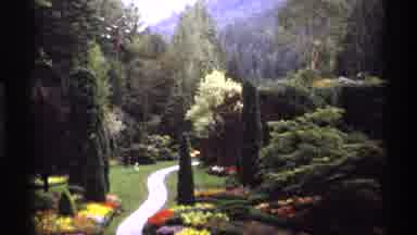 Vancouver Canada (1974): A Large Forest Containing A Garden And A Pedestrian Path