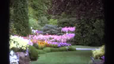 Vancouver Canada (1974): View Of People Walking Through Garden With Purple And