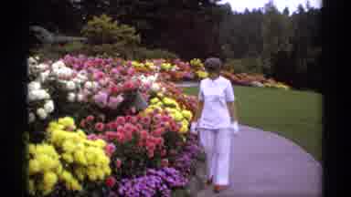 Vancouver Canada (1974): Woman Walking By A Garden With Pink Yellow And White