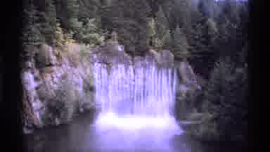 Vancouver Canada (1974): Outdoor Video Showing A Very Colorful Garden And Later A