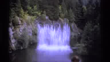 Vancouver Canada (1974): View Of Water Spurting From Ground Near Forest