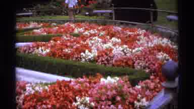 Vancouver Canada (1974): A Variety Of Flowers Inside The Park With Different