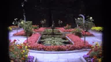 Vancouver Canada (1974): View Of Pink Flower Garden On A Bright Sunny Day