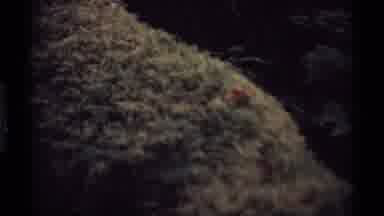 Vancouver Canada (1974): Views Of The Ocean And The Ocean Floor On A Cloudy Day