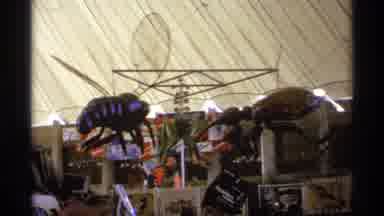 Worlds Fair Seattle-1974: Giant Insect Sculptures Under Tented Pavilion
