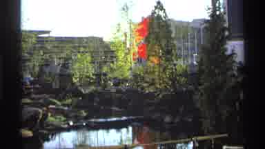 Worlds Fair Seattle (1974): A Variety Of Flowers Inside The Park With Different