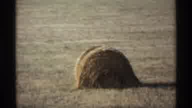 Worlds Fair Seattle (1974): A Few Hay Bales Sit In An Otherwise Empty Field With
