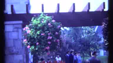 Montreal Canada (1967): A Dark And Red Color Flowers Insure A National Park Placed