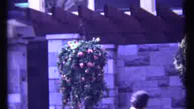 Montreal Canada (1967): View Of Hanging Plant With Pink Flowers On A Clear Day