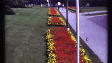 Montreal Canada (1967): Various Floral Arrangements Outdoors