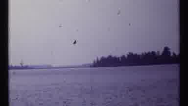 Montreal Canada (1967): Boat With A Canadian Flag Sailing On A Big Lake Surrounded