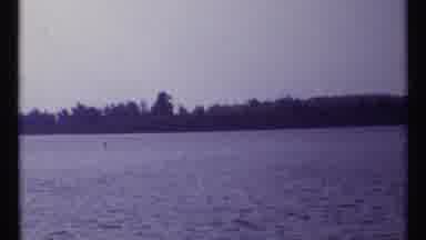 Montreal Canada (1967): Several Filmed Views Of A Body Of Water With Trees In The