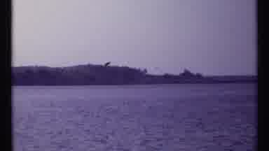 Montreal Canada (1967): Boats Have Been Parked And The Sea Looks So Quiet