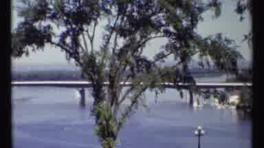 Ottawa Canada (1967): Bridge Over A River With A Tree In The Foreground Camera