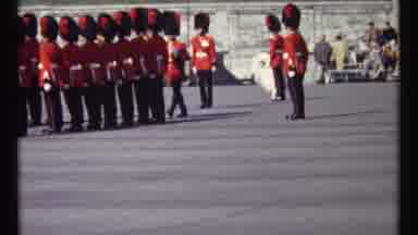 Ottawa Canada (1967): British Soldiers Walking With Llama