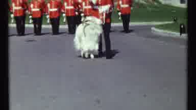 Ottawa Canada (1967): British Queen's Guard Marching While The Leader Walks A Goat