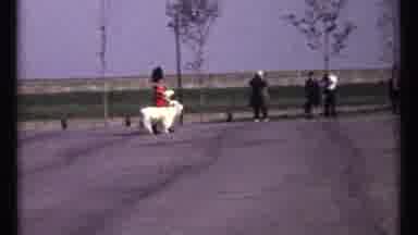 Ottawa Canada (1967): Brutish Royal Army Marching In Vintage Film