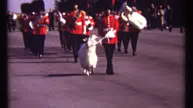Ottawa Canada (1967): Marching Brass Band Leading White Ram Triumphantly Cross