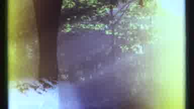 Ottawa Canada (1967): Recording Showing Several Trees And A Building During A