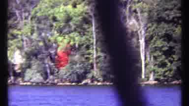 Toronto Canada (1967): View Of Red Object Nestled In Green Trees By Stream On A
