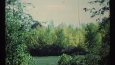 Toronto Canada (1967): Arbor Nature What