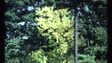 Toronto Canada (1967): A Natural Place To Have The Green Area Was Very Nice Around