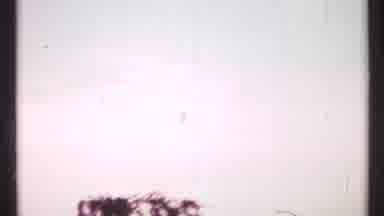 Toronto Canada (1967): Eye In The Sky Above Trees In An Urban City Space With Tall