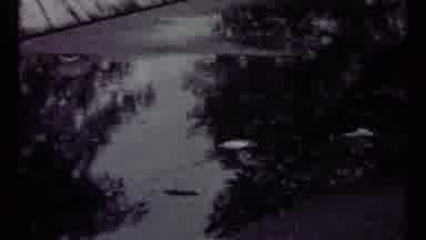 Toronto Canada (1967): Rain Falling On A Puddle During A Rainy And Cloudy Day
