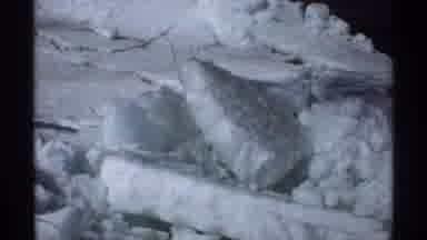 Minnesota (1970): Shows The Amount Of Snow In Piles In Some Countryside