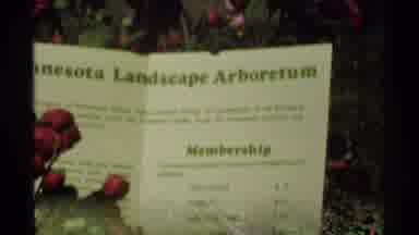 Minnesota (1970): Sign Says Minnesota Landscape Arboretum And People Tend To The