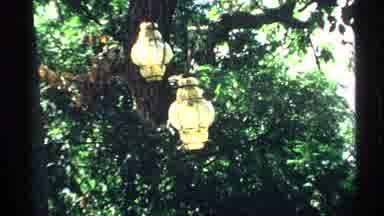 Minnesota (1970): Lanterns Hanging From A Tree Marble Statue In A Backyard Patio