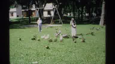 Minnesota (1970): Man Watches Woman Feed The Birds At The Park