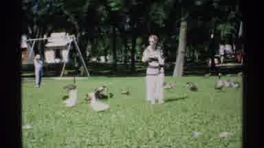 Minnesota (1970): A Park Filled With Birds And Ducks And Few Ladies Enjoys The