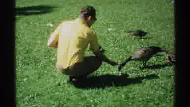Minnesota (1970): People Outside On Green Grass Feeding Animals And Enjoying The