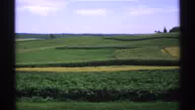 Minnesota (1970): Neatly Spread Agricultural Landscape Showing Different Crops