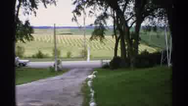 Minnesota (1970): Car Goes Down The Long Driveway The Sits Next To The Field And