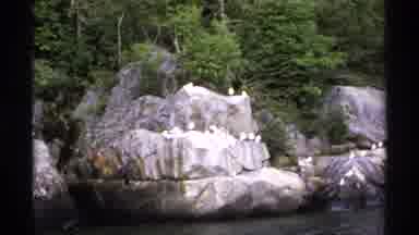 Isle Royale Michigan (1971): On A Boat Showing Rocks With Birds And A Docked Boat