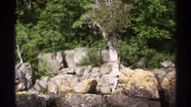 Isle Royale Michigan (1971): View From Water Looking To A Rocky Forested Coast