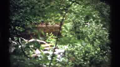 Isle Royale Michigan (1971): Lush Park In Wedingo Mine Exploration