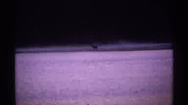 Isle Royale Michigan (1971): Group Of Ducks On The Sea