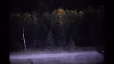 Isle Royale Michigan (1971): Animal Seen From A Far Near Water Flowing By A Forest