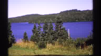 Isle Royale Michigan (1971): Great Pine Trees By The Seaside