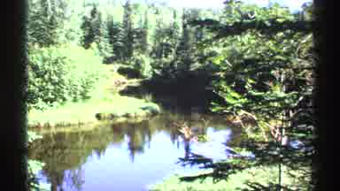 Isle Royale Michigan (1971): A Big Beautiful Jungle In Michigan