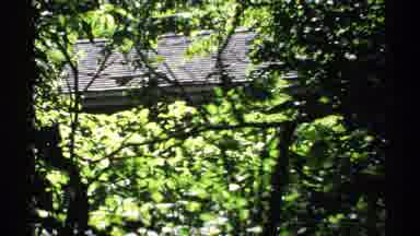 Isle Royale Michigan (1971): Pretty Houses Covered In Leaves