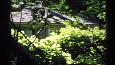 Isle Royale Michigan (1971): A Houses Surrounded With Tall Trees And Bushes