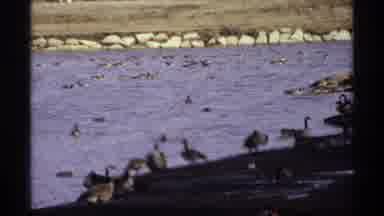 La Crosse Wisconsin (1971): A Vintage Easter Video Showing Local Events