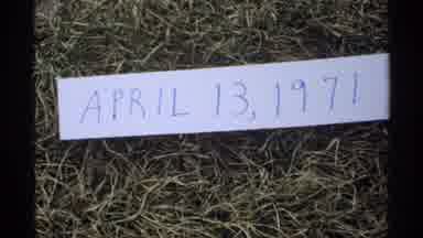 La Crosse Wisconsin (1971): The Sign Says As The Man Tills The Soil To Prepare It