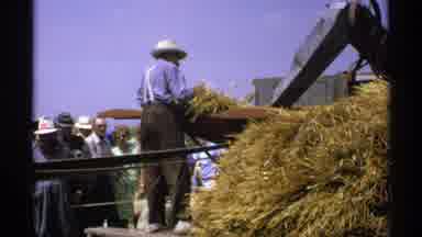 Minnesota (1971): Person Wearing White Shirt Passes Hay To Man Wearing Blue Shirt